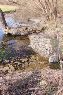 Doğal manzaranın güzel manzarası