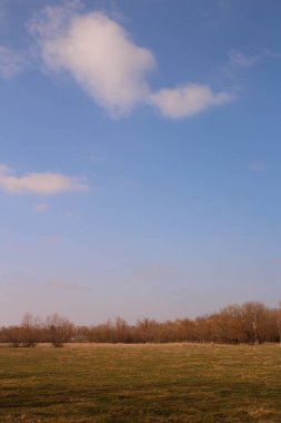 Bulutlu bir gökyüzünün altında güzel bir çimen görüntüsü. Duvar kağıtları için mükemmel.