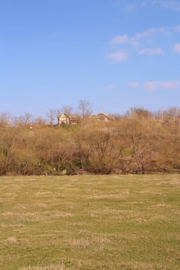 Rusya 'daki bahar tarlası