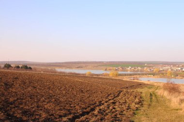 Bir tarlada yeşilliklerle çevrili güzel bir göl manzarası