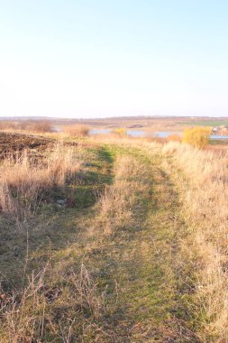 bir tarladaki patika