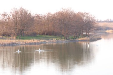 Sabahları nehrin güzel manzarası.