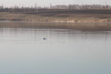Göl ve dağlarla dolu güzel bir manzara.
