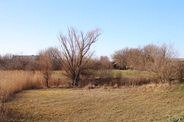 Kışın açık bir günde kırsalda geniş bir tarla.