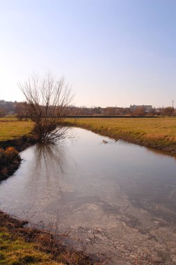 Doğanın güzel manzarası