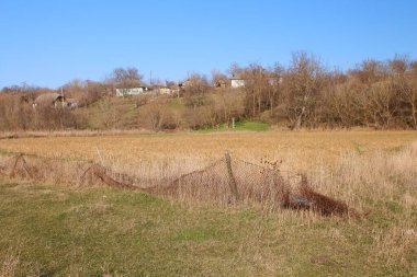 Bir çimen tarlası, bahar ve yaz.
