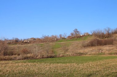 Ağaçlar ve mavi gökyüzü olan bir manzara.
