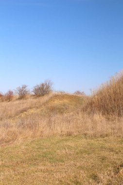 Geniş bir tarlası ve büyük bir ağacı olan büyük bir tepe.