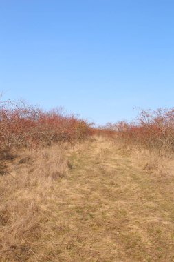 Doğanın güzel manzarası