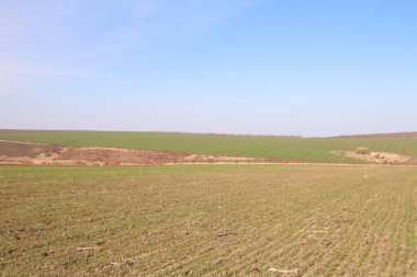 bahar manzarası, mavi gökyüzü, bulutlar ve çimenler, yeşil alan