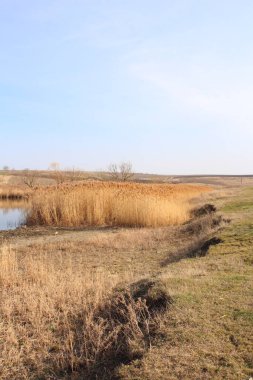 Arka planda bir nehir olan bahar manzarası.