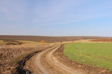 sonbahar alanında yol