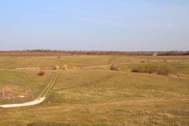 Çimen tarlası ve mavi gökyüzü olan güzel bir manzara.
