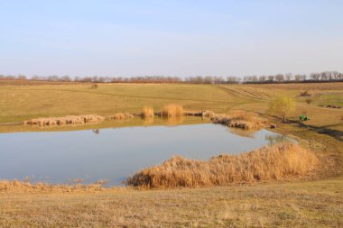Yeşil çimenli güzel bir göl.