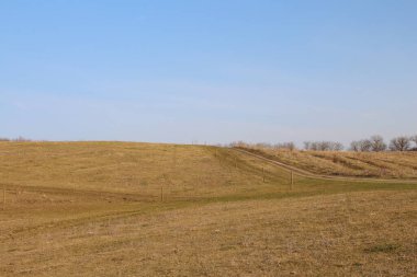 Bahar çimleri ve ağaçlar.