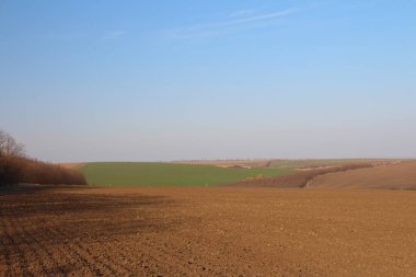 Yeşil alan ve mavi gökyüzü ile güzel bahar manzara