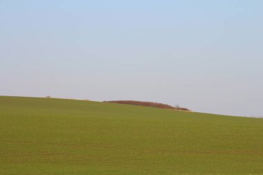 Mavi gökyüzü ile yeşil alan