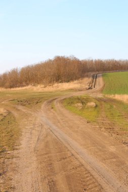 Toprak yol ve tarlalar. bahar manzarası.