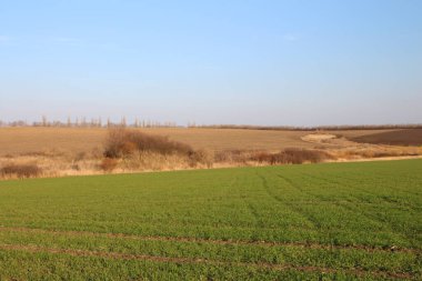 Doğanın güzel manzarası