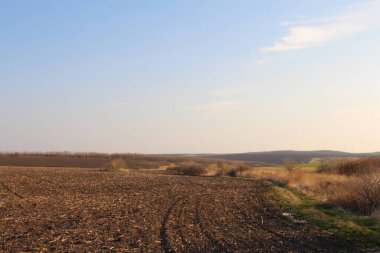 Bahar tarlasında toprak bir yol.