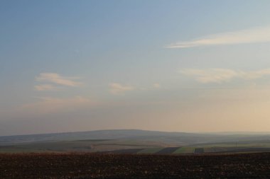 Güzel bir manzara Ağacı ve mavi gökyüzü
