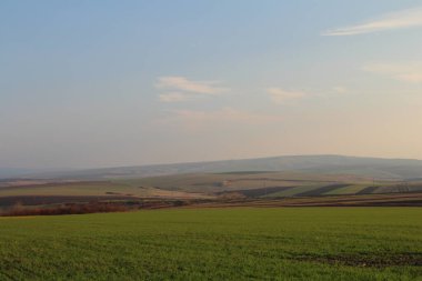 Kırsal alanın güzel manzarası