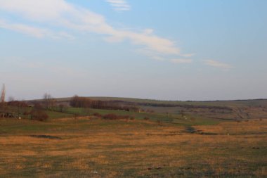 Güzel bir gün batımı olan bir tarlanın manzarası.