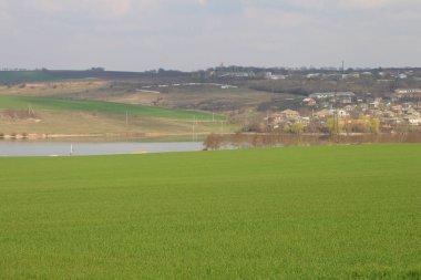 Kırsal alanda güzel bir manzara.