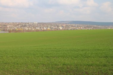 Yeşil tarlalı ve mavi gökyüzüyle manzara.