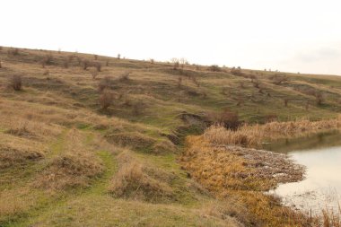 Ağaçlarla çevrili güzel bir göl manzarası