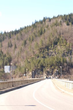 Ağacı ve dağı olan güzel bir manzara.