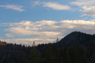 Güneş ağaçların ve dağların üzerinde parlıyor. yüksek kaliteli fotoğraf