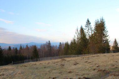 Karpatların güzel kış dağ manzarası