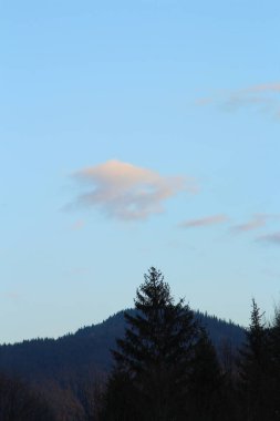 Doğanın güzel manzarası