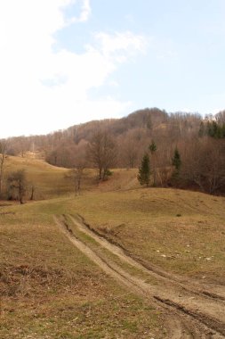 İlkbaharda bir kır manzarası Ağaçlar ve tarlalar