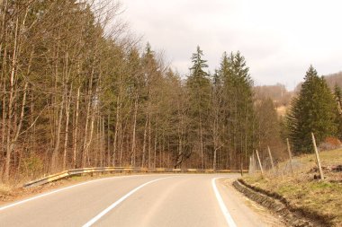 Sonbahar ormanında güzel bir yol