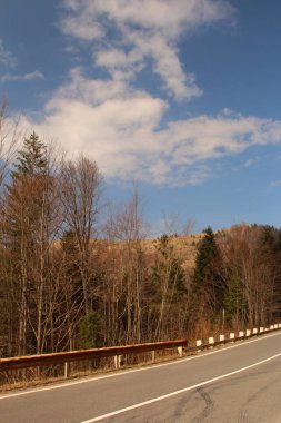 Yollu ve dağlı güzel sonbahar manzarası