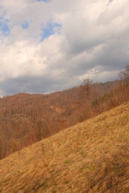 Sonbahar boyunca güzel bir dağ manzarası.