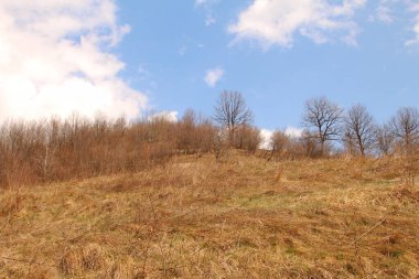 Dağlarda bir ağacı olan güzel bir manzara.