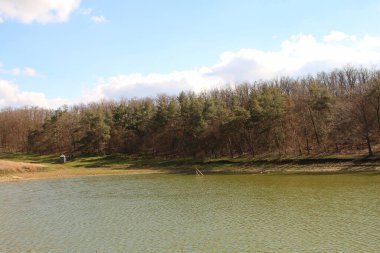 Ormandaki gölün rezervuarı.