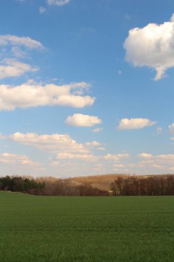 Ağacı ve mavi gökyüzü olan güzel bir manzara.