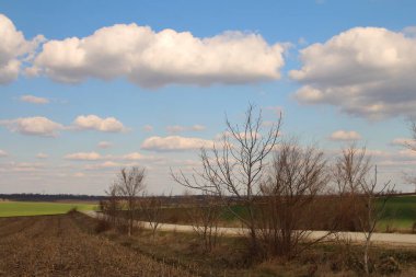 Doğanın güzel manzarası