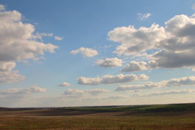 Çimen ve gökyüzü bulutlu.