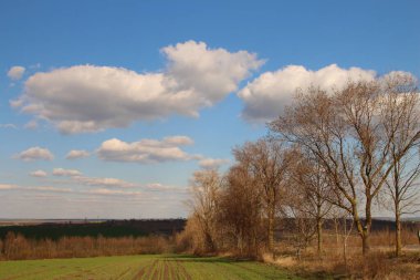 Doğanın güzel manzarası
