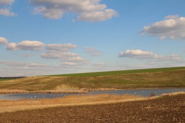 Yeşil alan ve mavi gökyüzü ile güzel bahar manzara
