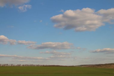 Yeşil tarlalı manzara ve bulutlu mavi gökyüzü