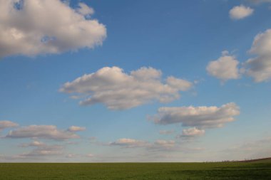 Yeşil tarla ve bulutlu mavi gökyüzü.