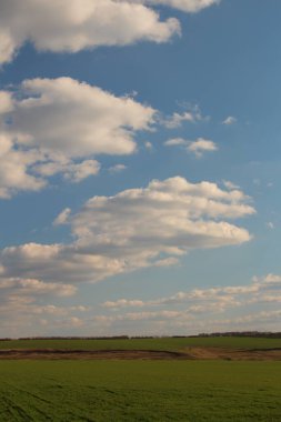 Yeşil çimenleri ve bulutları olan güzel bir manzara.