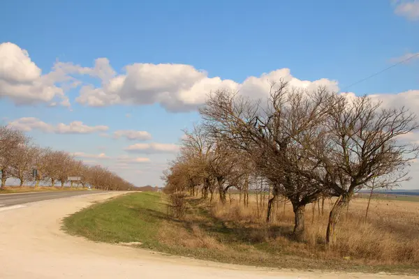 Kırsalda güzel bir yol, seyahat konsepti