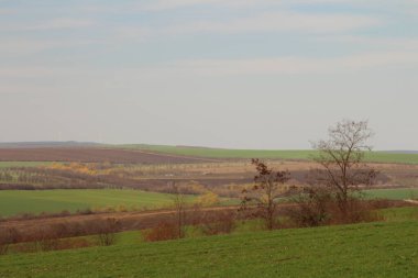 Doğanın güzel manzarası